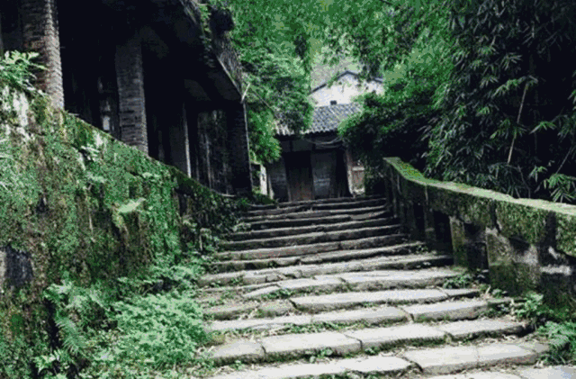 筠连论坛 69 筠连同城 69 时事新闻 69 宜宾人