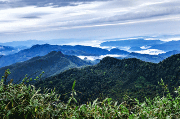 筠连论坛 69 筠连同城 69 时事新闻 69 