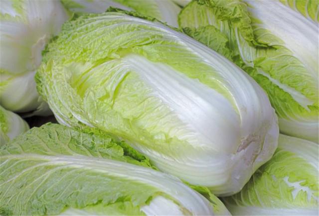 1大白菜