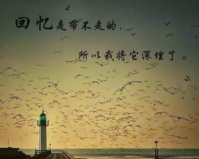 心情励志:回忆是带不走的,所以我将它深埋了