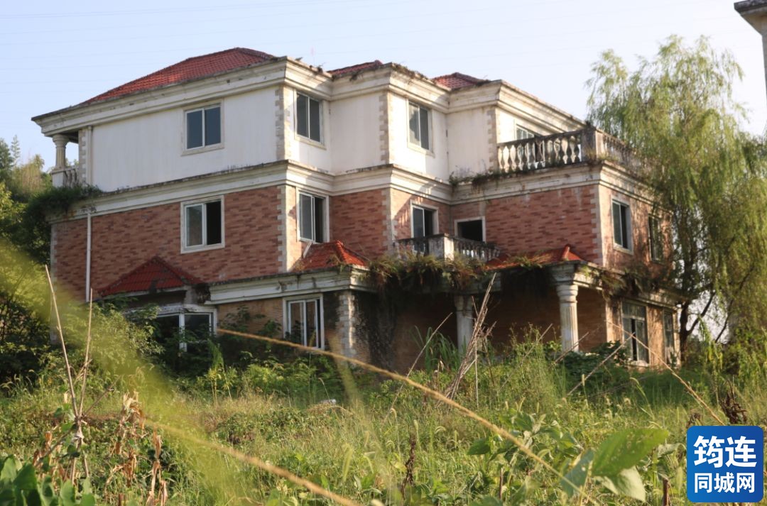 宜宾曾经最豪华的别墅区,如今却沦为村民的养鸡场