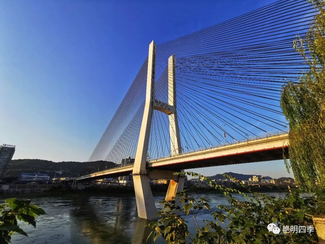 宜宾那一座座桥,曾经领跑全国,亚洲和世界第一