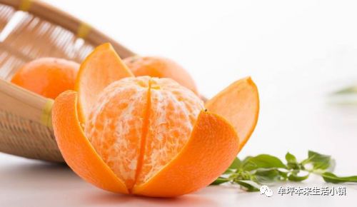 宜宾人一定要品尝最新鲜的长江首橙哦!就在橘香牟坪w16.jpg